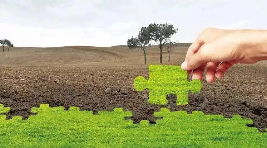 场地污染调查与评估