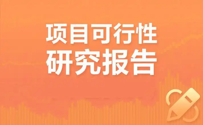 项目可行性研究报告